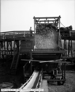 Layton_Sugar_Factory_Wagon_Dumping_Beets_into_Hopper