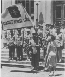 Screen Shot 2018-11-19 at 8.59.56 AM